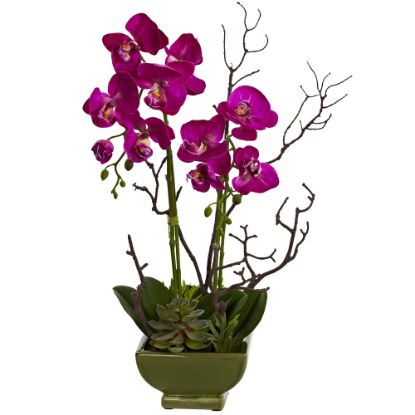 Picture of Nearly Natural Orchid & Succulent 21inH Plastic Floral Arrangement With Planter, 21inH x 10inW x 8inD, Dark Pink/Green