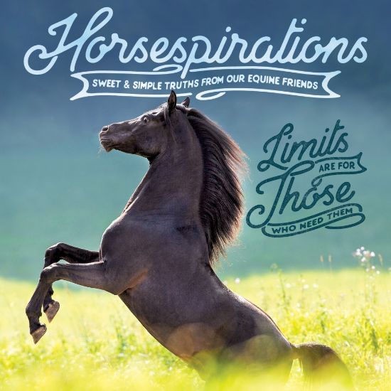 Picture of Willow Creek Press 5-1/2in x 5-1/2in Hardcover Gift Book, Horsespirations