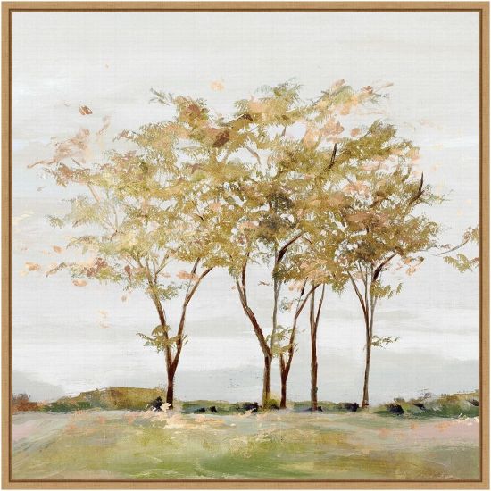 Picture of Amanti Art Golden Acre Wood Trees by Isabelle Z Framed Canvas Wall Art Print, 22inH x 22inW, Maple