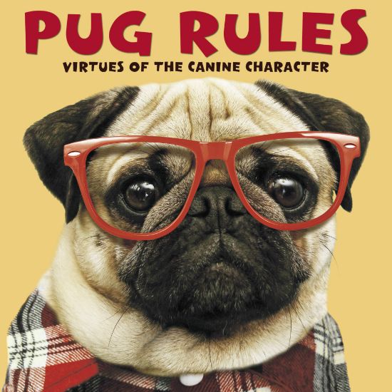 Picture of Willow Creek Press 5-1/2in x 5-1/2in Hardcover Gift Book, Pug Rules