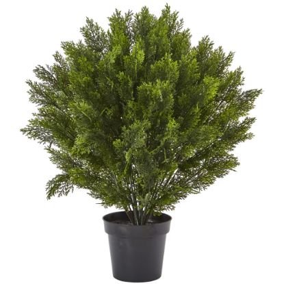 Picture of Nearly Natural 3ftH Artificial Cedar Bush With Pot, Green/Black