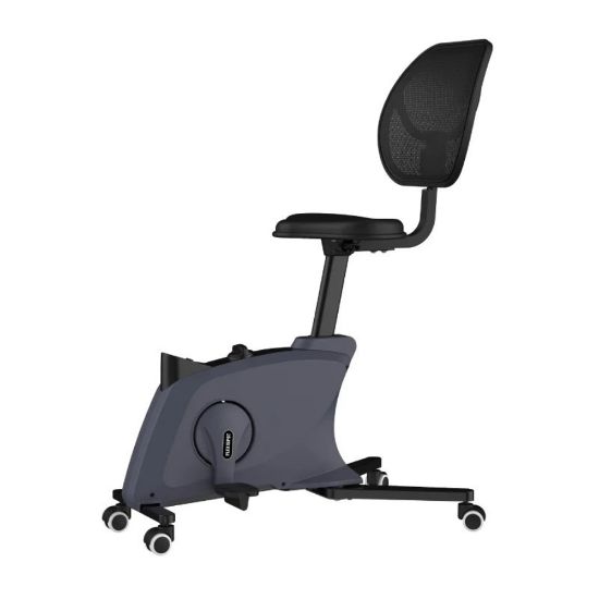 Picture of FlexiSpot FC211 Fitness Chair, Black