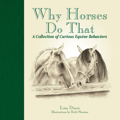 Picture of Willow Creek Press 7in x 7in Hardcover Gift Book, Why Horses Do That By Lisa Dines