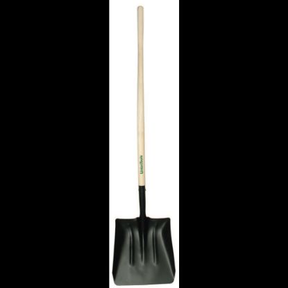 Picture of Steel Coal Shovel, 14.5 in L x 13.5 in W blade, Square Point, 48 in White Ash Straight Handle