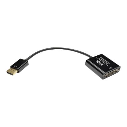 Picture of Tripp Lite DisplayPort to DVI Active Adapter Converter 1080p 6in DP to DVI 50 Pack - Video converter - DisplayPort - DVI - black - bulk (pack of 50)