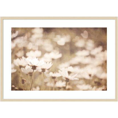 Picture of Amanti Art Daisies I Neutral by Elizabeth Urquhart Wood Framed Wall Art Print, 30inH x 41inW, Natural