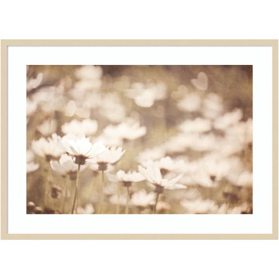 Picture of Amanti Art Daisies I Neutral by Elizabeth Urquhart Wood Framed Wall Art Print, 30inH x 41inW, Natural