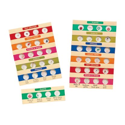 Picture of Learning Resources Prepared Microscope Slides, 4 1/2inH x 3 1/2inW x 2 1/2inD, Grades 3 - 12, Pack Of 12