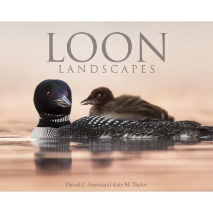 Picture of Willow Creek Press 8in x 10in Hardcover Gift Book, Loon Landscapes By Evers & Taylor