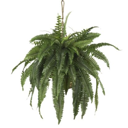 Picture of Nearly Natural 22inH Large Boston Fern With Hanging Basket, Green/Brown