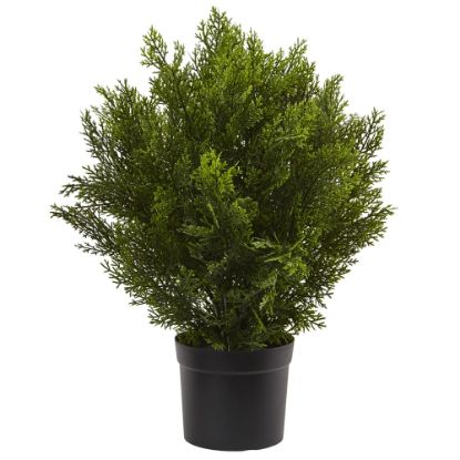 Picture of Nearly Natural 2ftH Artificial Cedar Bush With Pot, Green/Black