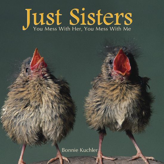 Picture of Willow Creek Press 5-1/2in x 5-1/2in Hardcover Gift Book, Just Sisters By Bonnie Kuchler