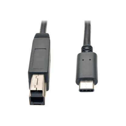 Picture of Tripp Lite USB-C to USB-B Cable (M/M) USB 3.2 Gen 2 (10 Gbps) Thunderbolt 3 Compatible 3 ft. (0.91 m)