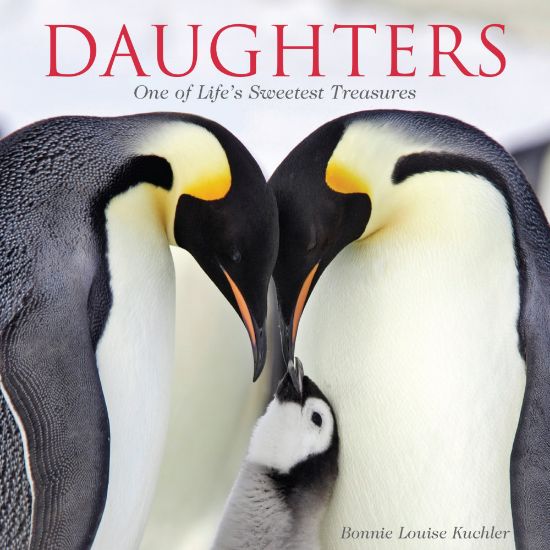 Picture of Willow Creek Press 5-1/2in x 5-1/2in Hardcover Gift Book, Daughters By Bonnie Kuchler