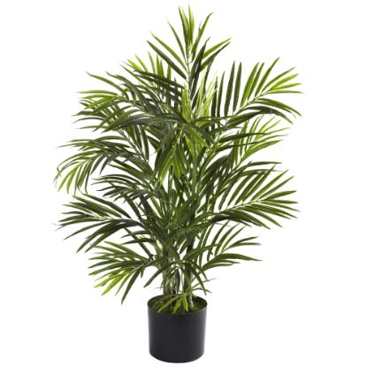 Picture of Nearly Natural 2-1/2ftH Areca Palm Tree With Pot, Green/Black