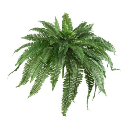 Picture of Nearly Natural 21inH Boston Ferns, Green, Set Of 2 Ferns