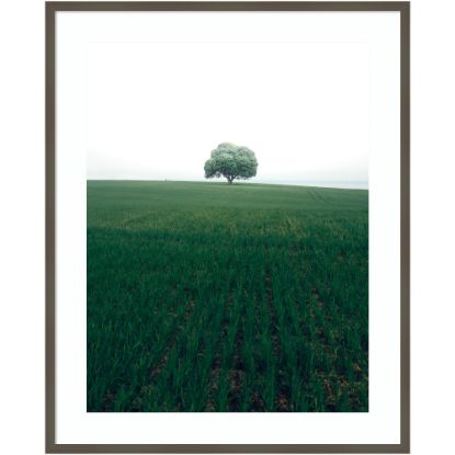 Picture of Amanti Art The Lonely Oak Tree by Christian Lindsten Wood Framed Wall Art Print, 33inW x 41inH, Gray