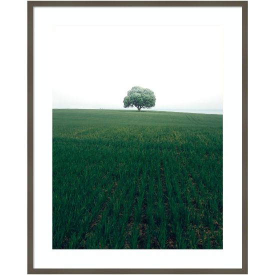 Picture of Amanti Art The Lonely Oak Tree by Christian Lindsten Wood Framed Wall Art Print, 33inW x 41inH, Gray