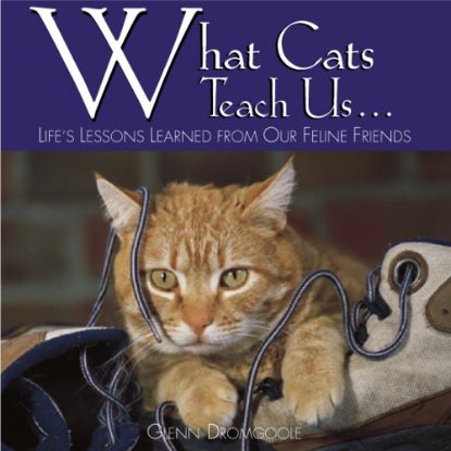 Picture of Willow Creek Press 5-1/2in x 5-1/2in Hardcover Gift Book, What Cats Teach Us By Glenn Dromgoole