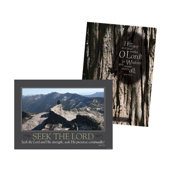 Picture of Barker Creek Poster Duet Set, Natural Wonders, Pack Of 2