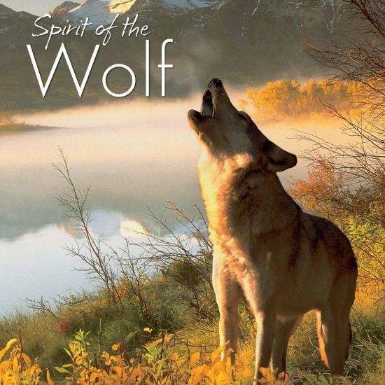 Picture of Willow Creek Press 7in x 7in Hardcover Gift Book, Spirit Of The Wolf