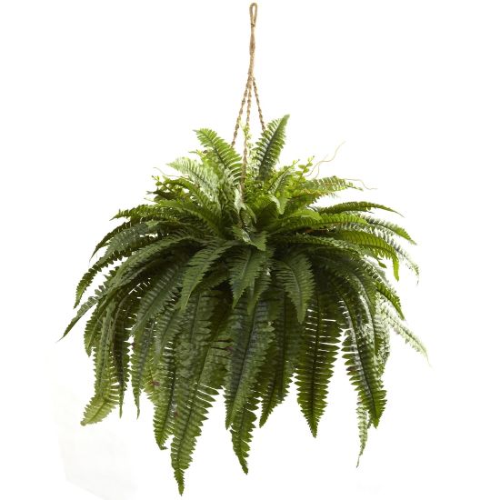 Picture of Nearly Natural 29inH Double Giant Boston Fern Hanging Basket, Green/Brown