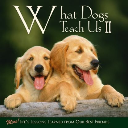 Picture of Willow Creek Press 5-1/2in x 5-1/2in Hardcover Gift Book, What Dogs Teach Us 2 By Glenn Dromgoole